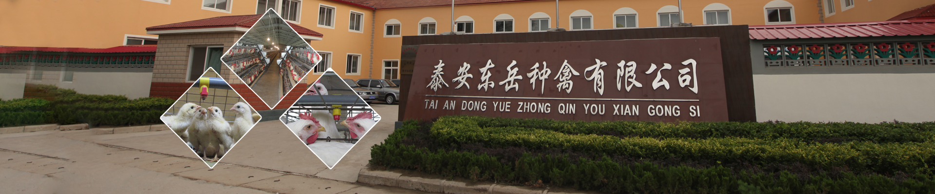 智能吊掛流水線